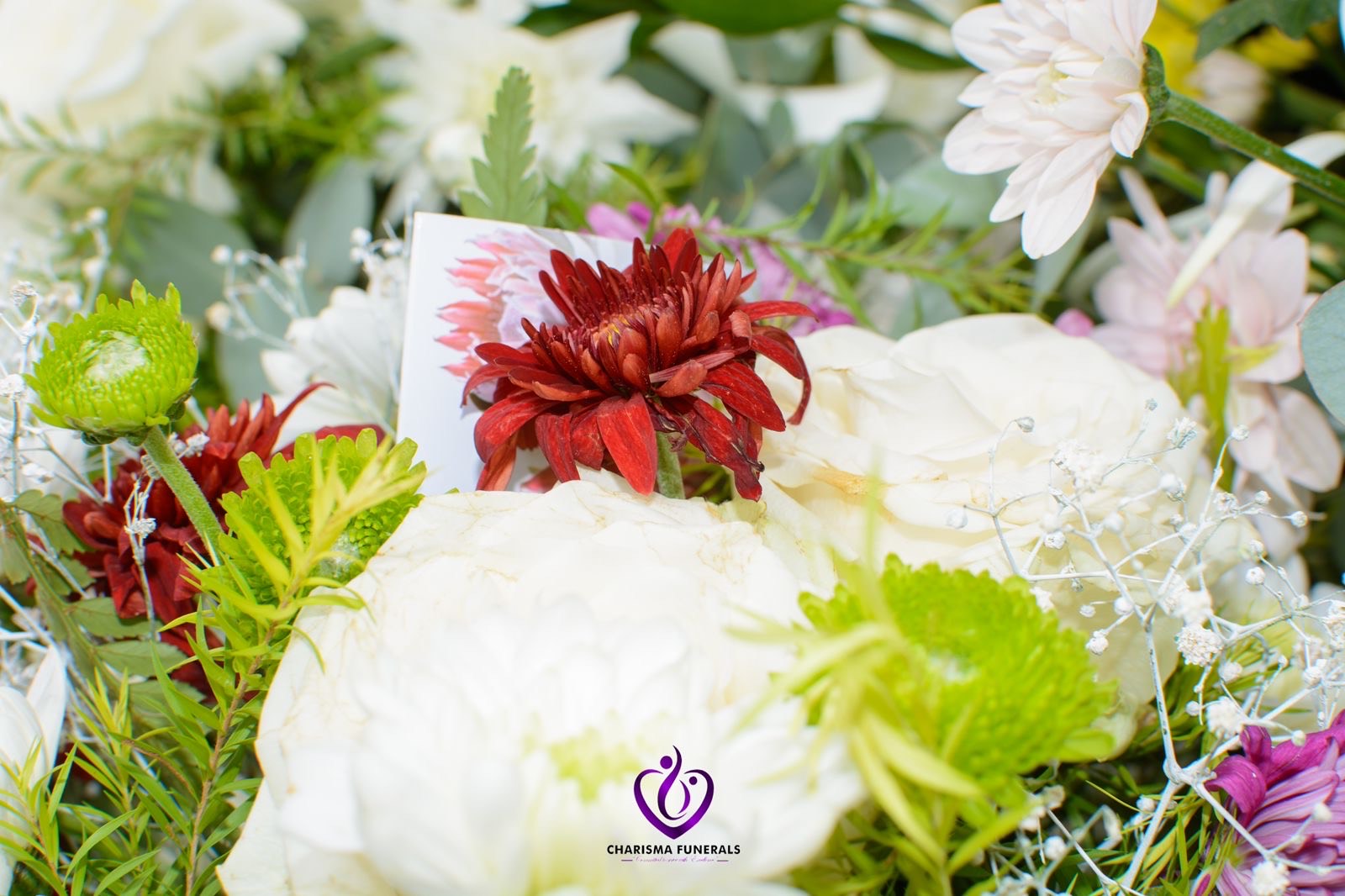 Honoring a Life: Creative Memorial Ideas